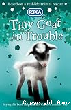 Tiny goat in trouble