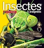Insectes et araignées