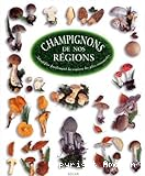 Champignons de nos régions : identifier facilement les espèces les plus courantes