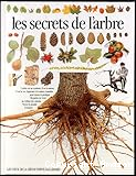Les secrets de l'arbre