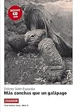 Más conchas que un galápago